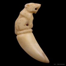 เสืองาแกะ หลวงพ่อคง วัดวังสรรพรส