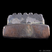 หลวงปู่ทวด รุ่นมงคล ๙ อาจารย์ทอง วัดสำเภาเชย ปี 2547