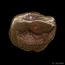 พระสังกัจจายน์ หลวงพ่อดิษฐ์ วัดปากสระ  ปี 2504 พิมพ์เล็ก