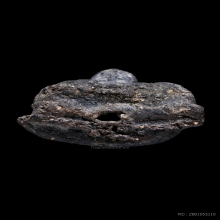 หลวงปู่ทวด ดำบล๊อกลังเม่ง (นิยม) วัดประสาทฯ ปี 06 สวยมากครับ