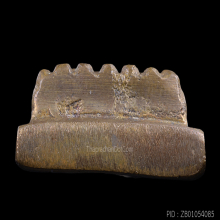 หลวงปู่ทวด รุ่นมงคล ๙ อาจารย์ทอง วัดสำเภาเชย ปี 2547