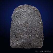 หลวงปู่ทวด อาจารย์นอง  สร้างมณฑป ปี 2540 ตะกรุดทองคำ