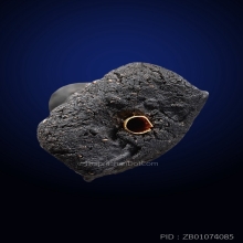 หลวงปู่ทวด อาจารย์นอง  สร้างมณฑป ปี 2540 ตะกรุดทองคำ