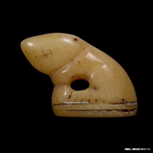 เสือหลวงพ่อสาย วัดคลองด่าน จ.สมุทรปราการ