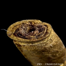 ตะกรุดหนังหน้าผากเสือ หลวงพ่อจง วัดหน้าต่างนอก