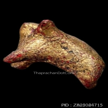 วัวธนูครูบานันตา วัดทุ่งม่านใต้ ปี2500