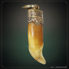 เขี้ยวเสือไฟ เครื่องรางมหาอำนาจ เลี่ยมนาคเก่าเดิม