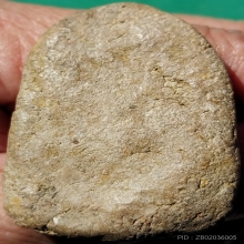 พระโคนสมอ