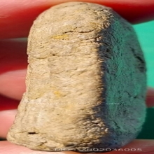 พระโคนสมอ