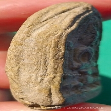 พระโคนสมอ