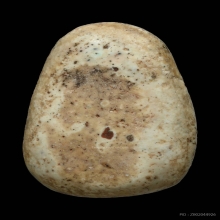 พระวัดพลับพิมพ์ป๊อปอาย