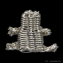 หุ่นพยนต์ลวดเงิน พี่เอปริญญา