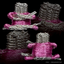 หุ่นพยนต์ลวดเงิน พี่เอปริญญา