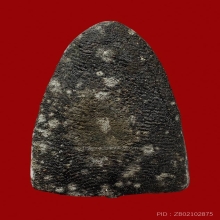 หลวงปู่ทวดเนื้อว่านพิมพ์ใหญ่ A วัดช้างให้ ปี 2551