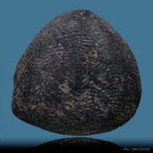 พระผงหลวงพ่อพริ้ง วัดบางปะกอก พิมพ์กรมหลวงชุมพร