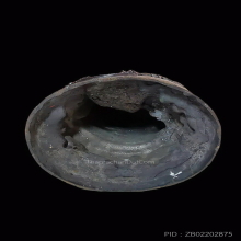 พระบูชายืนหลวงปู่สิมฯ วัดถ้ำผาปล่อง เชียงใหม่ ปี 2534