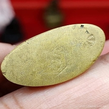 ชินราขอินโดจีน พิมพ์แต่ง มีโค้ต พร้อมใบเซอร์สมาคม 