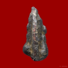 พระเศียรโล้นเล็ก หลวงพ่อเนียม วัดน้อย จ.สุพรรณบุรี