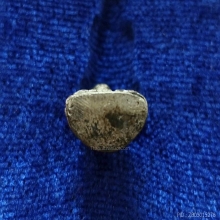 พระชัยวัฒน์พระนเรศวร ๔๐๐ ปี เนื้อเงิน ปี2533