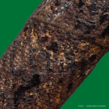 ตะกรุดหนังเสือหลวงพ่อนอ วัดกลางท่าเรือ ยุคต้น