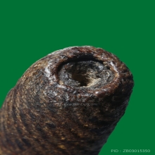 ตะกรุดหนังเสือหลวงพ่อนอ วัดกลางท่าเรือ ยุคต้น