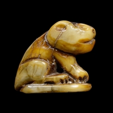 เสือหุบปาก เขี้ยว เนื้อจัด ไม่ทราบที่ (4)