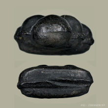 ปิดตา พ่อทองสุข วัดสะพานสูง พิมพ์ชลูดใหญ่ ใบลานผงโสฬสมงคล 