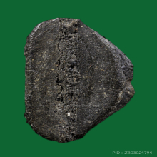 หลวงปู่โต๊ะ พระสังกัจจายน์ ปี2521 เนื้อใบลาน