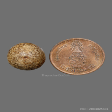 ลูกอมหลวงพ่อปาน วัดบางนมโค ( พิเศษเห็นเม็ดผงวิเศษเยอะ )