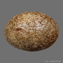 ลูกอมหลวงพ่อปาน วัดบางนมโค ( พิเศษเห็นเม็ดผงวิเศษเยอะ )