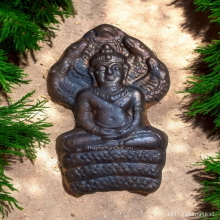 พระนาคปรก หลวงปู่คำบุ วัดกุดชมพู ปี 2553