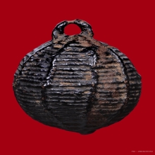 เบี้ยห้อยโข่ง หลวงปู่เอี่ยม วัดหนัง 