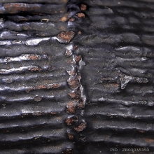 เบี้ยห้อยโข่ง หลวงปู่เอี่ยม วัดหนัง 