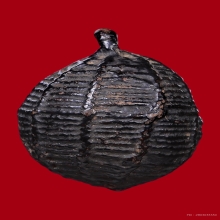 เบี้ยห้อยโข่ง หลวงปู่เอี่ยม วัดหนัง 