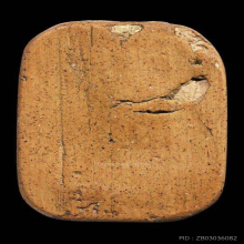 หลวงพ่อปาน วัดบางนมโค