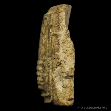 สมเด็จเกศไชโยนอกพิมพ์ พิมพ์5ชั้นแขนกาง สภาพสวยเนื้อจัดชัดเจน