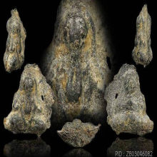 หลวงปู่ศุข วัดปากคลองมะขามเฒ่า ปิดตาแขนชิด