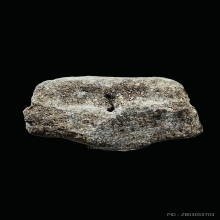 หลวงปู่ทวด เนื้อว่าน ปี 2497 พิมพ์กลางชะลูด