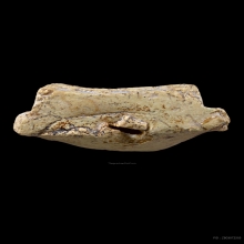 สมเด็จพุฒาจารย์โต วัดประสาทฯ เนื้อขาวอมเขียว นิยมสุด