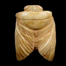 แมลงภู่คำ งาแกะ