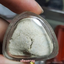 สังกจายน์ เนื่อขาวอมเขียว วัดประสาท ปี06