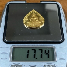 พระทองคำ พระแก้วมรกต ภปร (ฤดูฝน) 