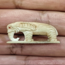 ช้างหลวงปู่ทิมวัดระหารไร่ออกวัดโพธิสัมพันธ์ 