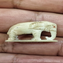 ช้างหลวงปู่ทิมวัดระหารไร่ออกวัดโพธิสัมพันธ์ 