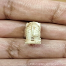 ช้างหลวงปู่ทิมวัดระหารไร่ออกวัดโพธิสัมพันธ์ 