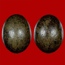 เมฆสิทธิ์พระครูลืม วัดอรุณฯ