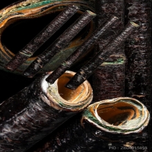 ตะกรุดของหลวงพ่อปาน คลองด่าน