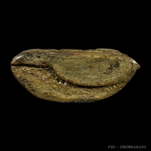 รูปหล่อไต้ฮงกง รุ่น 2 มูลนิธิปอเต็กตึ๊ง กรุงเทพฯ พ.ศ. 2513 