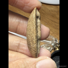 พระวันทาเสมาพิมพ์ใหญ่ ชุดแช่น้ำมนต์ 13 พิมพ์แรกหลวงปู่โต๊ะ