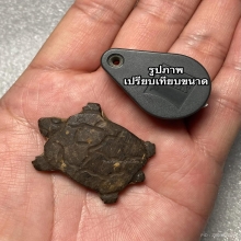 กะลาแกะรูปเต่า อุดผงฝังตะกรุด